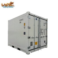 Recipiente frigorífico de 10 pés